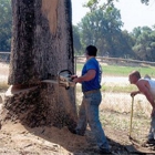 High Sierra Tree Service