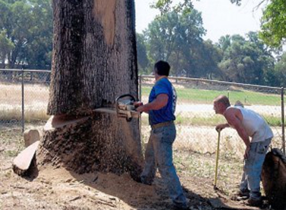 High Sierra Tree Service - Grass Valley, CA