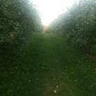 Thompson's Orchards