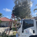 Grateful Tree and Hedge - Tree Service