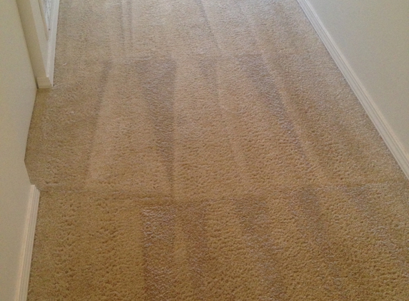 Chubby Chubby Carpet Cleaner - Puyallup, WA