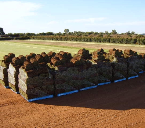 Lake Wyangan Turf Supplies - Lake Wyangan, NSW