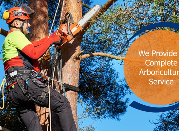 A-Local Tree Services