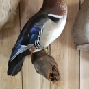 Verns Taxidermy - Taxidermists