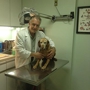 Throgs Neck Animal Hospital