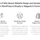 Nicasio Design - Web Site Design & Services