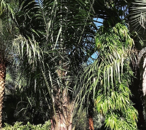 Unique Plants and Palms - Jacksonville, FL