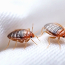 Amco Ranger Termite & Pest Solutions - Pest Control Equipment & Supplies