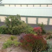 Gallery Image Number 2