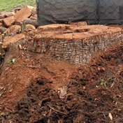 Gallery Image Number 2