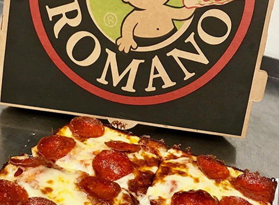 Papa Romano's Pizza & Mr. Pita - Waterford, MI