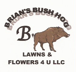 Business Logo