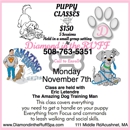 Diamond In The Ruff Grooming Spa And Daycare - Pet Grooming