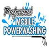 Professional Mobile Power Cleaning & Restoration Sys gallery