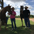 The Riding Stables