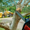 OpExcellence Tree and Stump Pros gallery