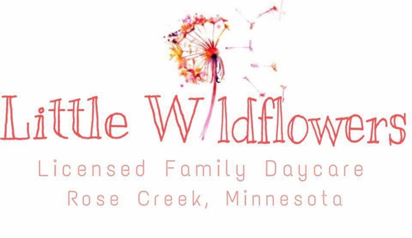 Little Wildflowers Daycare - Rose Creek, MN