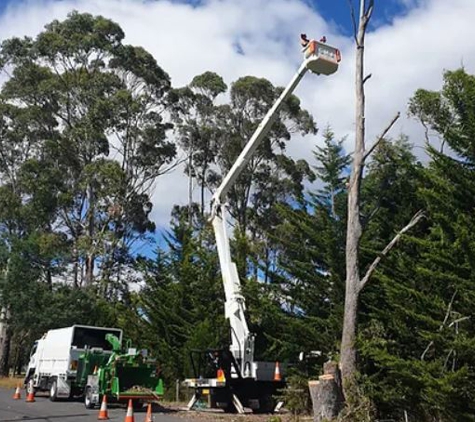 A1 Tree Specialists - Tarleton, TAS