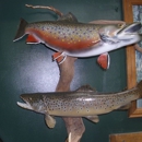 Gatto's Taxidermy Studio - Taxidermists