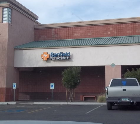 Banfield Pet Hospital - Mesa, AZ