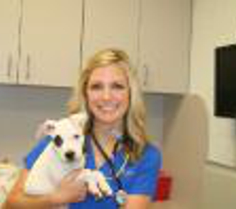 Animal Hospital of Ft Lauderdale - Oakland Park, FL