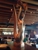 Fish Daddy's Grill House - American Restaurants