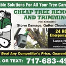 Cheap Tree - Tree Service