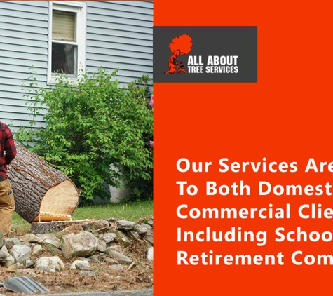 All About Tree Services QLD - Elanora, QLD. Our Services Are Offered To Both Domestic And Commercial Clients, Including Schools, Retirement Complexes