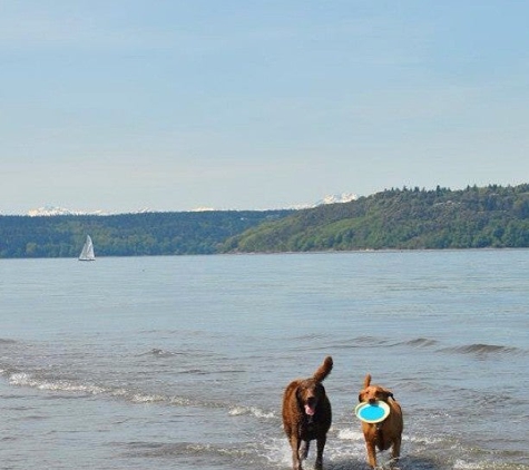 Dash Point State Park - Federal Way, WA