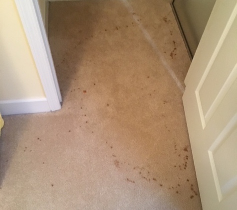 Bay View Carpet Cleaning & Property Maintenance - Eastpoint, FL. Before