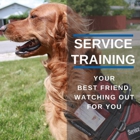 Dog Training Elite New Braunfels