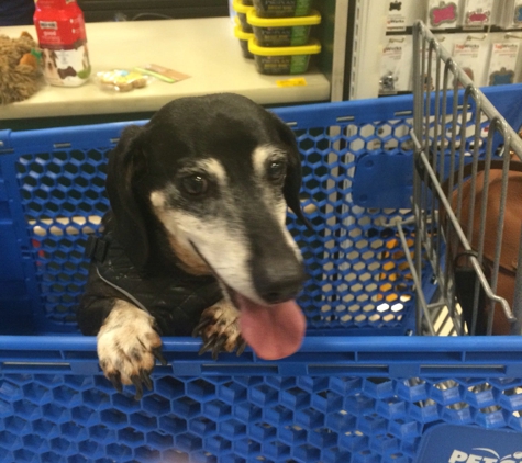 PetSmart - Cedar Park, TX