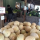 Spicknall's Farm Market