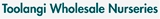 Toolangi Wholesale Nurseries Logo
