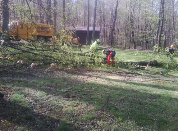 Brown's Tree Service