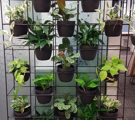 Short Term Plants - Dingley Village, VIC