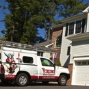 Viking Pest Control - Pest Control Services