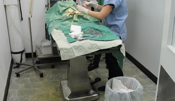 Duncan McGinness Veterinary Surgeon - Dubbo, NSW