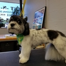 Cut-N-Strut - Pet Grooming