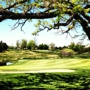 Bristlecone Pines Golf Club