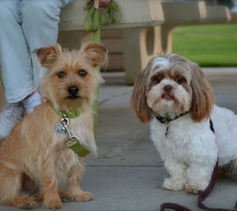 Angelic Canines Dog Training - Moorpark, CA