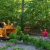 Northern Woods Tree Service gallery