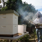Mission Beekeeping