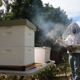 Mission Beekeeping