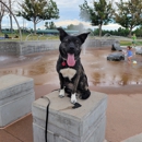 Off-Leash K9 Training - Denver - Dog Training