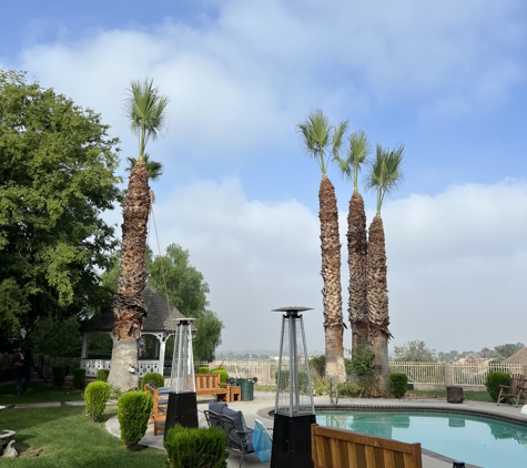 Ed's Tree Services - San Bernardino, CA