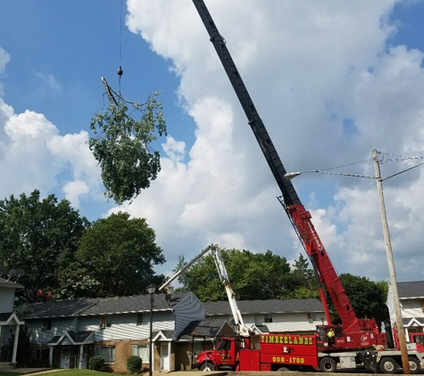 Timberlands Tree Experts Inc - North Canton, OH