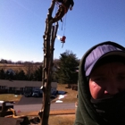 C & L Tree Service, Inc.