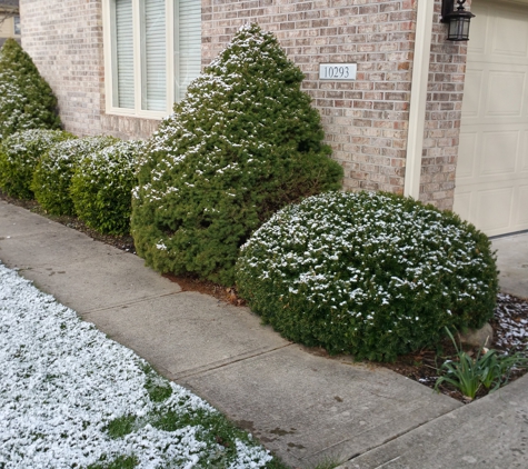 AJ's Lawn Care & Snow Removal - Fishers, IN