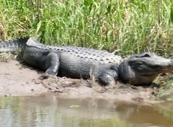 Dragon Lady Airboats - Orange, TX